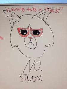 grumpycat